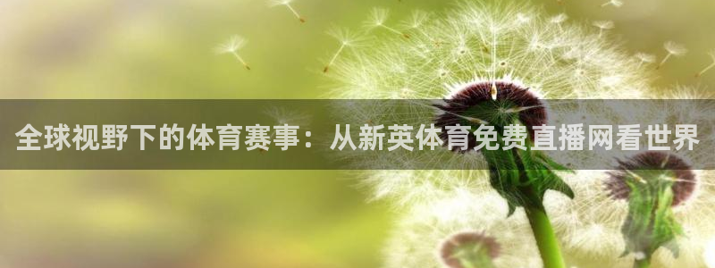 柠檬足球现场直播：全球视野下的体育赛事：从新英体育免费直播网看世界
