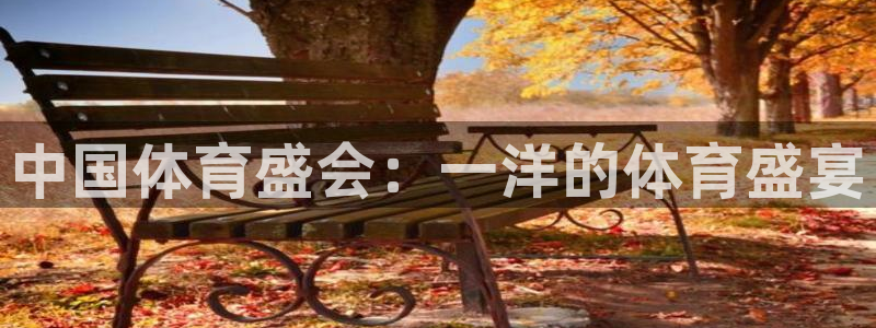 柠檬体育直播高清：中国体育盛会：一洋的体育盛宴