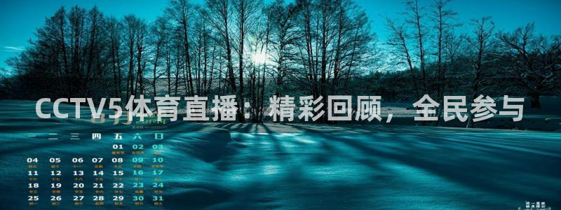柠檬网体育直播：CCTV5体育直播：精彩回顾，全民参与