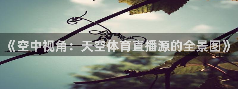 柠檬足球免费直播：《空中视角：天空体育直播源的全景图》