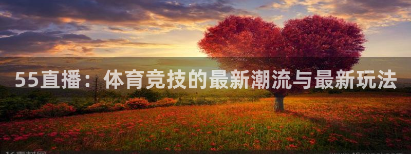 足球直播柠檬体育：55直播：体育竞技的最新潮流与最新玩法